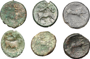 reverse: Greek Italy. Lot of 6 AE, including Arpi and Neapolis
