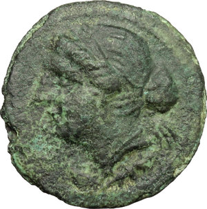 obverse: Bruttium, Brettii. AE Half, 211-208 BC