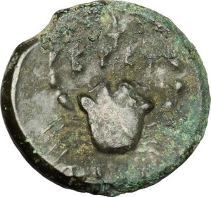 reverse: Bruttium, Brettii. AE quarter, ca. 215-205 BC
