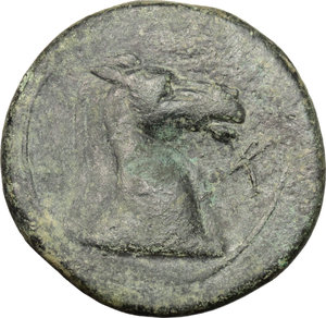 reverse: Bruttium, Carthaginians in South-West Italy. AE Unit, 215-205 BC