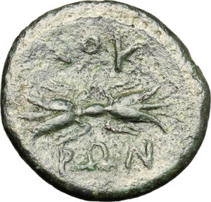 reverse: Bruttium, Locri. AE, c. 317-289 BC