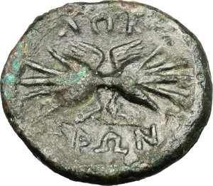 reverse: Bruttium, Locri. AE, c. 317-289 BC