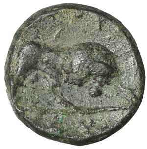 reverse: Lucania. Thourioi. 415-400 BC. Æ. 11,1 mm, 1.40 gr. O:\ Helmeted head of Athena r. R:\ Bull charging r. HNItaly 1909; SNG Copenhagen 1502. VF\XF
