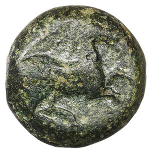 reverse: Zeugitania. Carthage. 400-350 BC. Bronze Æ 4,65  gr. - 13,8 mm. O:\ Wreathed head of Tanit left. R:\ Horse galloping right. SNG Copenhagen 97. XF