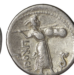reverse: L Procilius Denarius. 80 BC. 3.69 gr. - 18.4 mm. O:\ Bust of Jupiter right, SC behind. R:\ L PROCILI F, Juno Sospita advancing right with sheild, spear aloft and serpent before. Syd 771, Cr379/1. procilia1. No.1000. XFNumismatic and historical notes: Consuls Lucius Cornelius Sulla, Quintus Caecilius Metellus Pius; in 80 BC Pompeii becomes Roman city