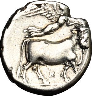 reverse: Central and Southern Campania, Neapolis. AR Didrachm, c. 320-300 BC