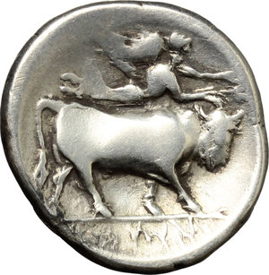 reverse: Central and Southern Campania, Neapolis. AR Stater, 300-260 BC