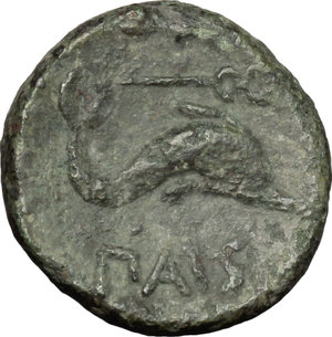 reverse: Northern Lucania, Paestum. AE Quadrans, 218-201 BC