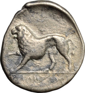 reverse: Northern Lucania, Velia. AR Didrachm, 334-300 BC