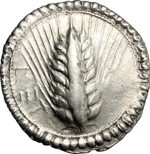 obverse: Southern Lucania, Metapontum. AR Stater, 540-510 BC
