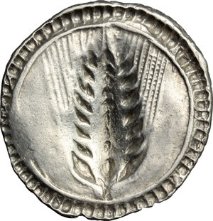 reverse: Southern Lucania, Metapontum. AR Stater, 540-510 BC