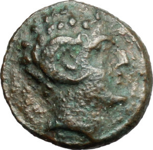obverse: Southern Lucania, Metapontum. AE 10mm, 275-250 BC