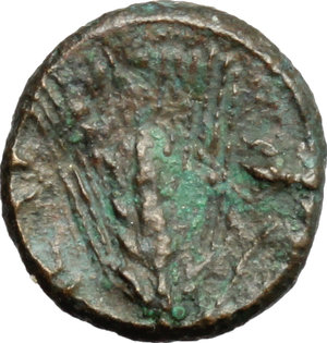reverse: Southern Lucania, Metapontum. AE 10mm, 275-250 BC