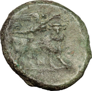 reverse: Samnium, Southern Latium and Northern Campania, Suessa Aurunca. AE 20mm, 265-240 BC