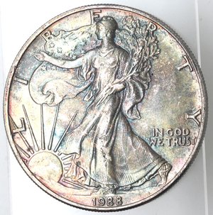 reverse: Usa. Dollaro Liberty 1988. Ag. 900. 