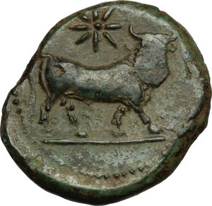 reverse: Central and Southern Campania, Neapolis. AE 19 mm. c. 320-300 BC