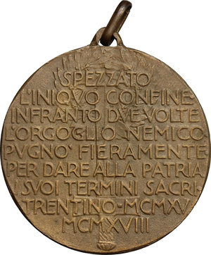reverse: Medaglia I Armata, Trentino per la prima guerra mondiale