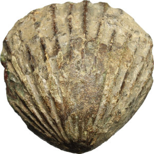 obverse: Aes Premonetale.. AE Cockle-shell, 5th-4th centuries BC