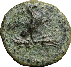 obverse: Southern Apulia, Azetium. AE 17 mm. c. 300-275 BC