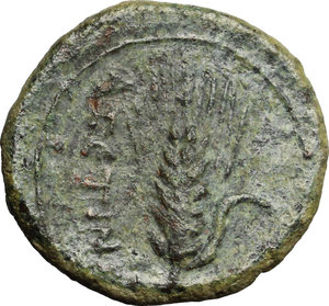 reverse: Southern Apulia, Azetium. AE 17 mm. c. 300-275 BC