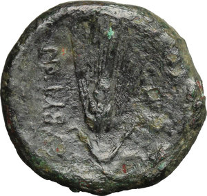 reverse: Southern Apulia, Butuntum. AE 22 mm. 275-225 BC