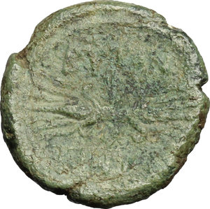 reverse: Southern Apulia, Butuntum. AE 14 mm. 275-225 BC