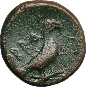 reverse: Southern Apulia, Hyria or Orra. AE 15 mm. c. 250-225 BC