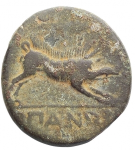 reverse: Mondo Greco - Apulia Arpi (Circa 325-250 a.C.) AE 19,9 x 20,6 mm. D/ testa di Zeus a sinistra. R/ Cinghiale a destra, sopra lancia. g 7,65. HN Italy 642. Bel BB+. Bella patina