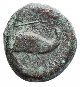 reverse: Mondo Greco - Apulia Salapia. 275-250 a.C. Ae 16,8 x 17,9 mm. D/ Cavallo andante verso destra, etnico. R/ Delfino verso sinistra, sopra tridente. SNG ANS 733. Peso 5,47. qBB-BB. RR.