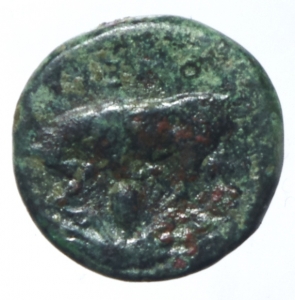 obverse: Mondo Greco. Lucania. Poseidonia. 420-405 a.C. AE. D/ Poseidone avanza a destra. R/ Toro cozzante a sinistra. AE. SNG Mun.1080. Peso 1,80 gr. BB.