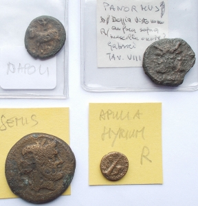 obverse: Lotti - Evo Antico. Lotto di 4 pezzi in Ae. Hyrium, Neapolis, Panormos, Semisse