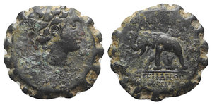 obverse: Seleukid Kings, Antiochos VI (145-142 BC). Serrate Æ (22.5mm, 7.81g, 1h). Antioch, c. 143-142 BC. Radiate head r., wearing ivy wreath. R/ Elephant advancing l., holding torch in trunk. SC 2006; HGC 9, 1043. Green patina, Fine - Good Fine