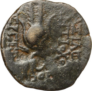 reverse: Dinastia Seleucide. AE 17 mm. non classificato