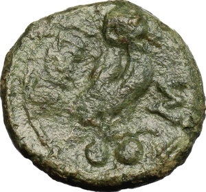reverse: Northern Apulia, Teate. Biuncia, 225-220 a.C