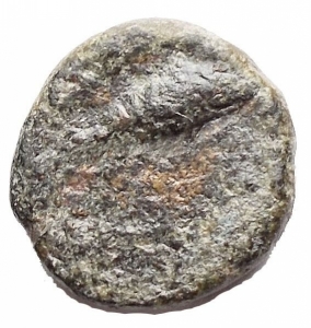 reverse: Varie - Greek Antiquity. Solus. Ae. 2 ° - 1 ° Sec BC. d / COΛONTINΩN Dolphin jumping to ds r / Tuna swimming to ds. 2.40 gr. HGC 2, 1269; CNS I, 17. VF. Green patina. Rare