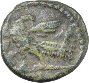 reverse: Ostrogothic Italy, Athalaric (526-534).. AE 40 Nummi (Follis), Rome mint