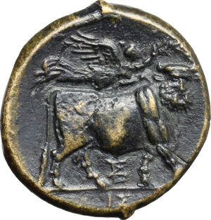 reverse: Central and Southern Campania, Neapolis. AE 20 mm, c. 275-250 BC