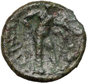 reverse: Southern Apulia, Sidion. . AE 15 mm. c. 300-275 BC