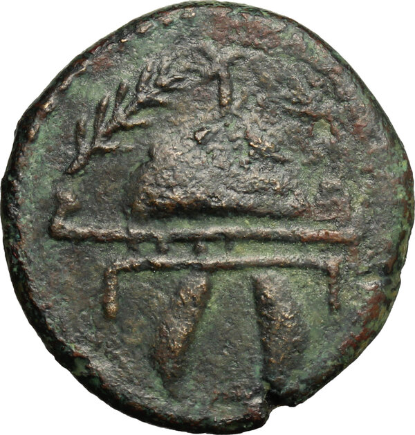A collection of coins from Judaea