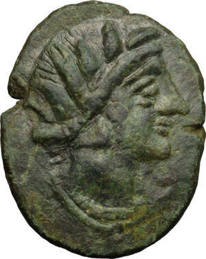 obverse: Akrai. AE 23mm, after 210 BC