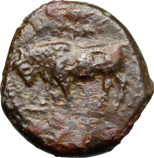 obverse: Gela. AE Onkia, c. 420-405 BC