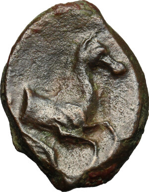 reverse: Panormos. AE 14.5 mm, c. 336-330 BC