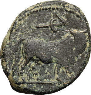 reverse: Central and Southern Campania, Neapolis. AE 17.5 mm, c. 300-275