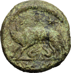 reverse: Ostrogothic Italy. Athalaric (526-534).. AE 20 Nummi (Half Follis)