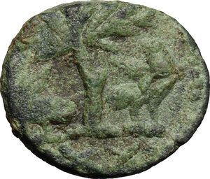 reverse: Ostrogothic Italy, Athalaric (526-534).. AE 20 Nummi (Half Follis), Rome mint