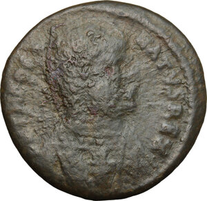 obverse: Ostrogothic Italy, Theodahad (534-536).. AE 40 Nummi, Rome mint