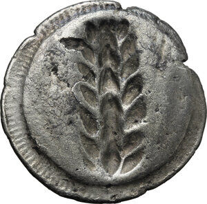 reverse: Southern Lucania, Metapontum. AR Stater, 510-470 BC