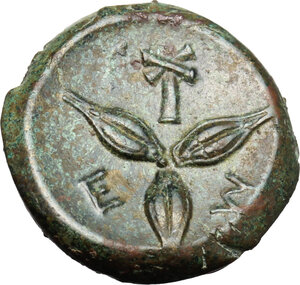 reverse: Southern Lucania, Metapontum. AE 14.5 mm, c. 300-250