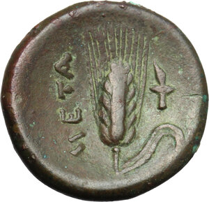 reverse: Southern Lucania, Metapontum. AE 15.5, c.300-250