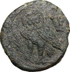 reverse: Northern Apulia, Venusia. AE Biunx, 210-200 BC